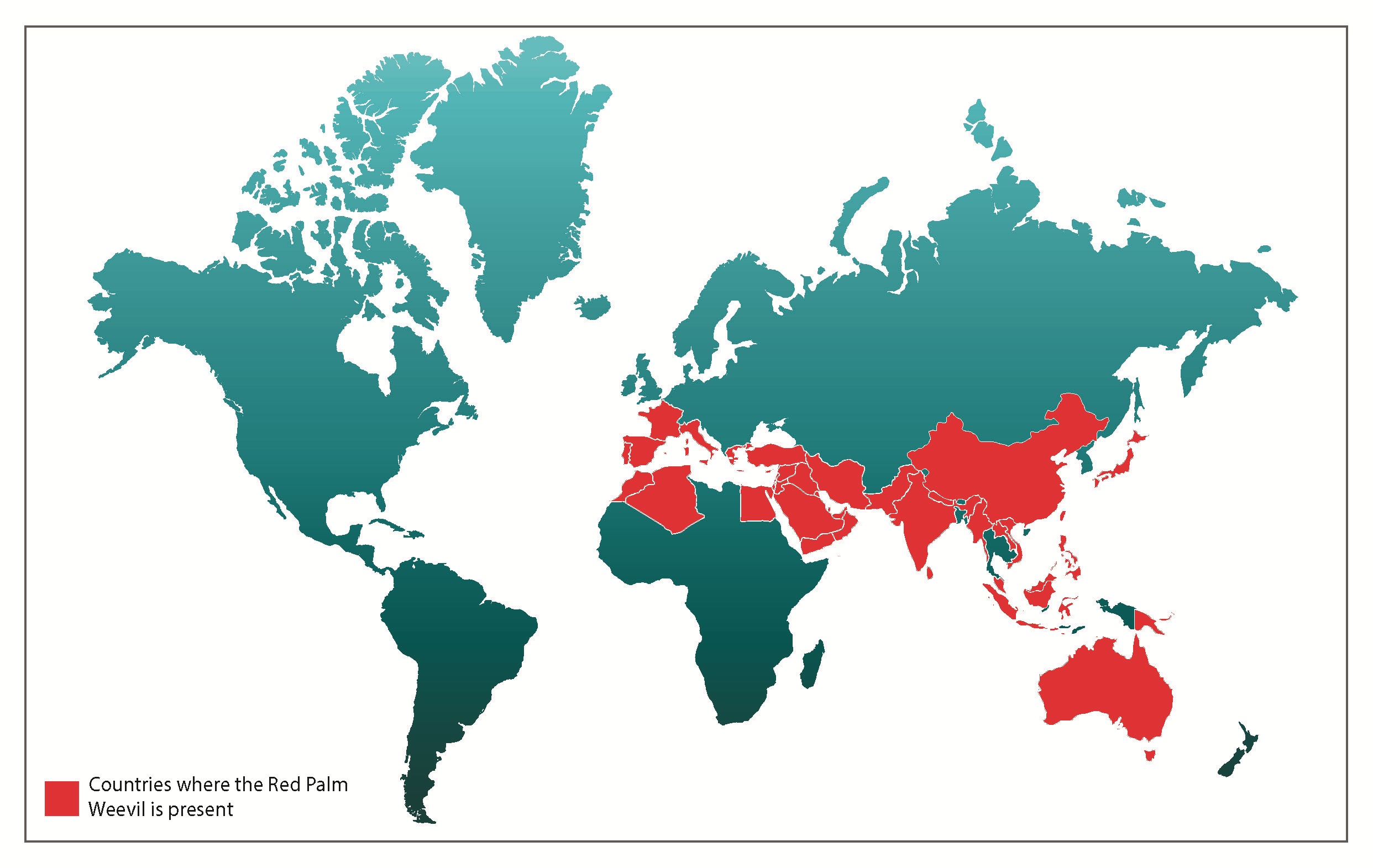 Distribución mundial del rhynchophorus ferrugineus
